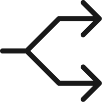 Group 24